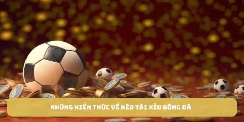 Những kiếm thức về kèo tài xỉu bóng đá