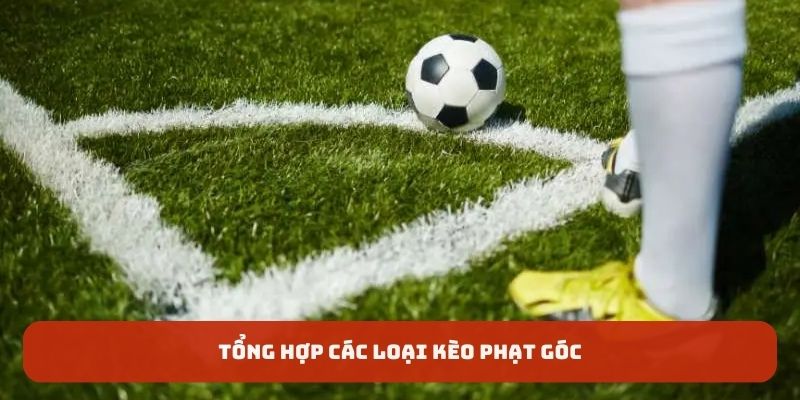 Tất tần tật các hình thức kèo đa dạng